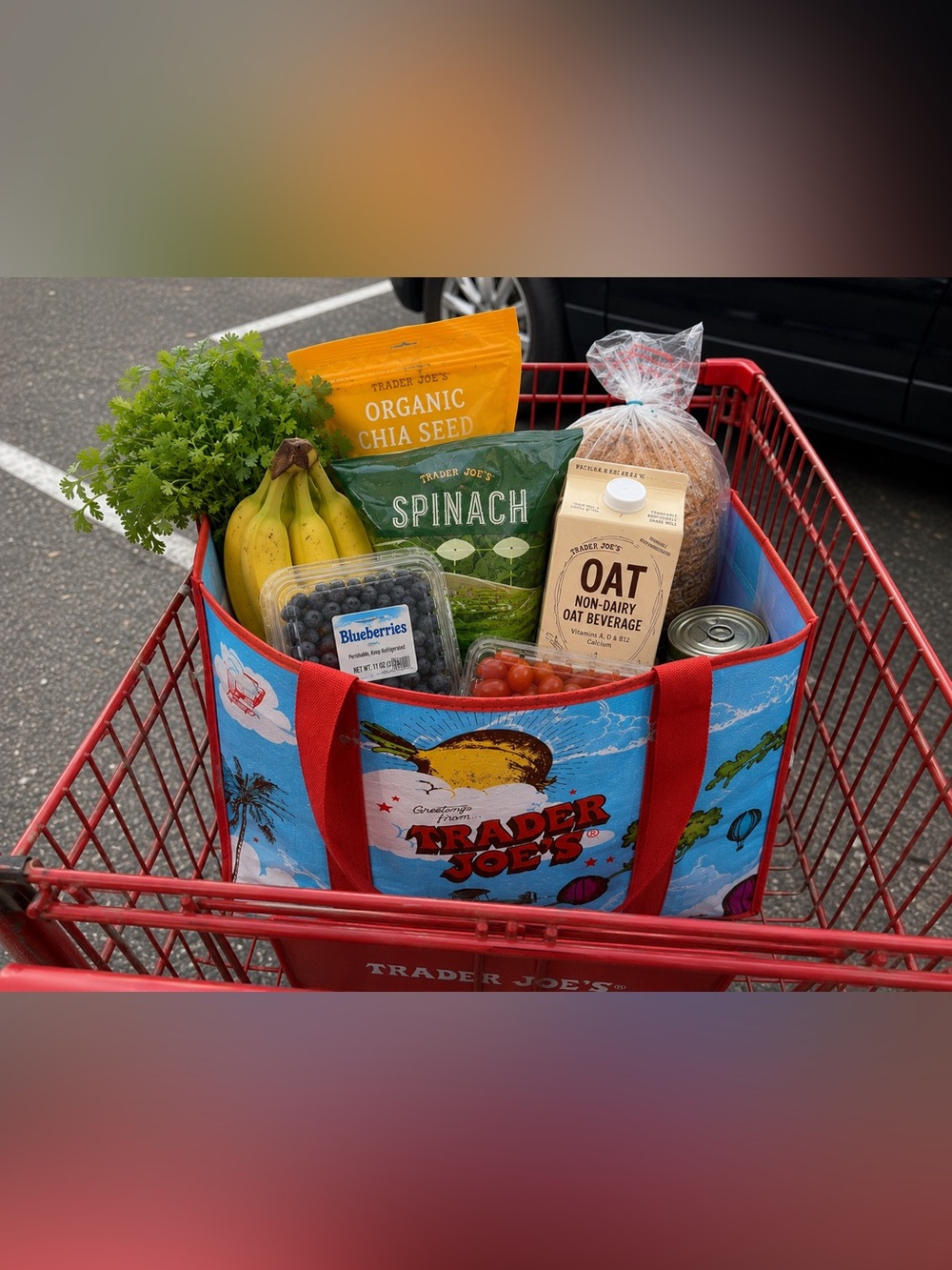 Greetings from Trader Joe’s Collapsible Tote NWT  MOON AND THE SKY